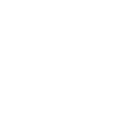 Auto Plus Insurance Group LLC |